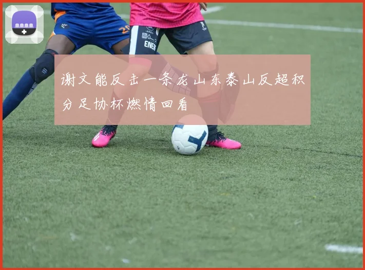 谢文能反击一条龙山东泰山反超积分足协杯燃情回看