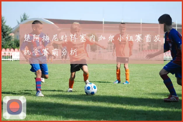 楚阿梅尼对阵塞内加尔小组赛首发机会赛前分析