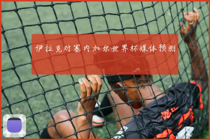 伊拉克对塞内加尔世界杯媒体预测