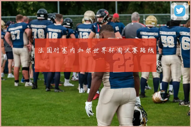 法国对塞内加尔世界杯淘汰赛路线