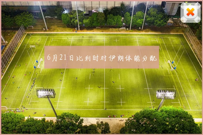 6月21日比利时对伊朗体能分配