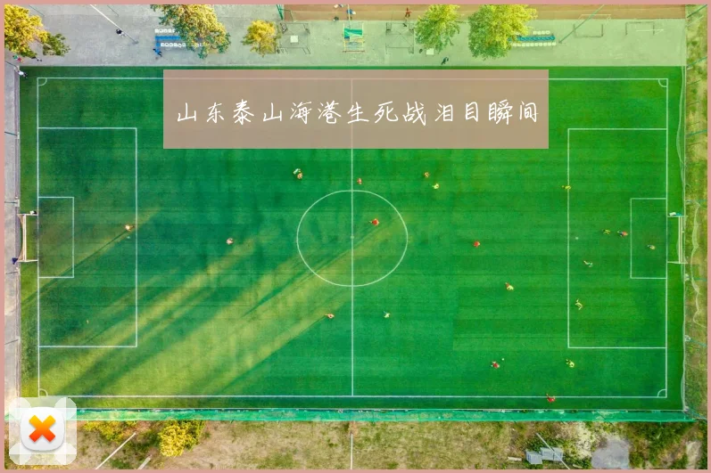 山东泰山海港生死战泪目瞬间