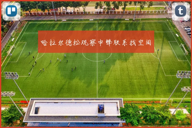 哈拉尔德松观察中锋联系找空间
