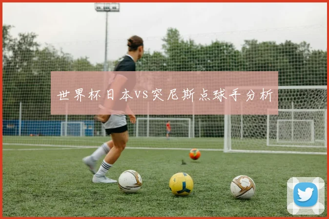 世界杯日本vs突尼斯点球手分析