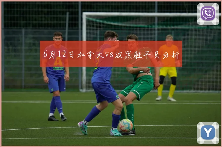 6月12日加拿大vs波黑胜平负分析