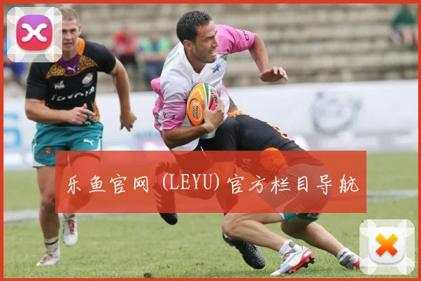 乐鱼官网 (LEYU)官方栏目导航