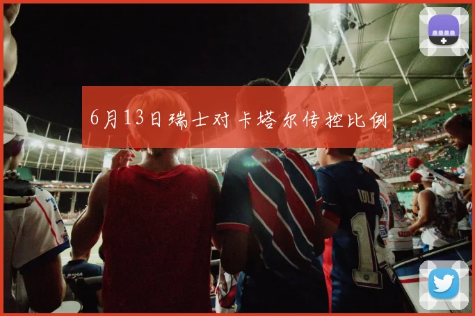 6月13日瑞士对卡塔尔传控比例