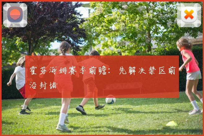 霍芬海姆赛季前瞻:先解决禁区前沿封堵