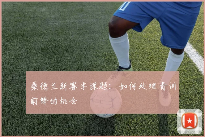 桑德兰新赛季课题：如何处理青训前锋的机会